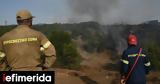 Θεσσαλονίκη, Συλλήψεις, Ωραιοκάστρου, Πυλαίας-Χορτιάτη,thessaloniki, syllipseis, oraiokastrou, pylaias-chortiati