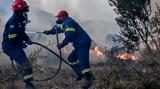 Αχαΐα, Πυρκαγιά, Κάτω Βελιτσές,achaΐa, pyrkagia, kato velitses