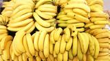 Παναμάς, Έληξε, Chiquita,panamas, elixe, Chiquita