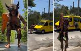 Θάνος Κιούσης, – Δείτε,thanos kiousis, – deite