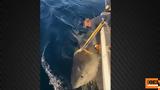 Ατλαντικό, Βόρειας Καρολίνας,atlantiko, voreias karolinas