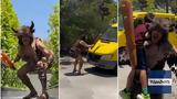 Θάνος Κιούσης,thanos kiousis