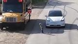 Tesla FSD,+video