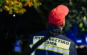 Φωτιά, Λεοντάρι Βοιωτίας - Μεγάλη, fotia, leontari voiotias - megali