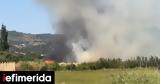 Λέσβος, Φωτιά, Καλλονή, Κώστας Κεντέρης,lesvos, fotia, kalloni, kostas kenteris