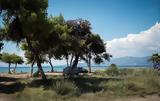 Εισαγγελική, Σχινιά,eisangeliki, schinia