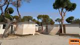 Εισαγγελική, Σχινιά,eisangeliki, schinia