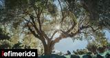 Βιώσαμε, Αμάδες Χίου,viosame, amades chiou