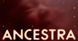 ANCESTRA, Veo,Google