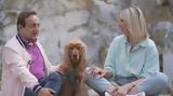 Pet Stories, Σπύρος Μπιμπίλας, Σωσώ,Pet Stories, spyros bibilas, soso