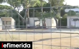 Αυτοψία, Σχινιά, ΥΠΕΝ, Οικονομική Αστυνομία -Ερευνα, aftopsia, schinia, ypen, oikonomiki astynomia -erevna