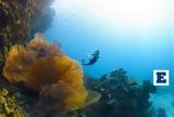 Ωκεανοί, Κρίση, Σύνοδος,okeanoi, krisi, synodos
