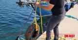 Μεσολόγγι, Εθελοντές, - Δείτε, - ΦΩΤΟ, ΒΙΝΤΕΟ,mesolongi, ethelontes, - deite, - foto, vinteo