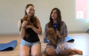 Puppy Yoga, Όταν, Puppy Yoga, otan