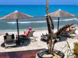 MyCoast App Returns, 2025 Empowering Citizens,Monitor, Report Beach Violations