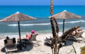 MyCoast App Returns, 2025 Empowering Citizens, Monitor, Report Beach Violations