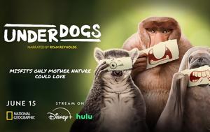 ΑΟΥΤΣΑΪΝΤΕΡ, Disney+, aoutsainter, Disney+
