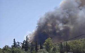 Φωτιά, Εκκενώνονται Άνω Σούλι, Μαραθώνας, fotia, ekkenonontai ano souli, marathonas
