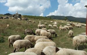 Διεκδικούν, Περιφέρεια Θεσσαλίας, diekdikoun, perifereia thessalias