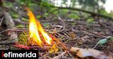 Συλλήψεις, Εύβοια, Φθιώτιδα,syllipseis, evvoia, fthiotida