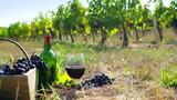 Greek Wines Get Global Push,New Export Funding Program