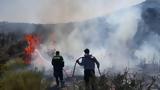 Πενήντα, 24ωρο,peninta, 24oro