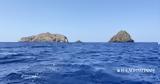 Θαλάσσια, Εγκρίθηκε, LIFE,thalassia, egkrithike, LIFE