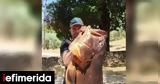 Απίστευτη, Βόλο -Έβγαλε, [εικόνα],apistefti, volo -evgale, [eikona]