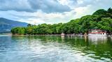 Συναγερμός, Ιωαννίνων,synagermos, ioanninon