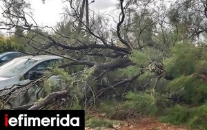 Μέγαρα, Κόρινθο, Πλημμύρισαν, [εικόνες-βίντεο], megara, korintho, plimmyrisan, [eikones-vinteo]