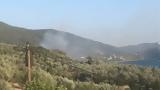 Βελτιωμένη, Πυργί Λέσβου,veltiomeni, pyrgi lesvou