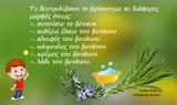 Για τα πόδια μας – ποδόλουτρο με έγχυμα δεντρολίβανου,