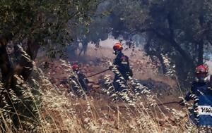Φωτιά, Χίο, Νέο, – Εκκενώσεις, fotia, chio, neo, – ekkenoseis