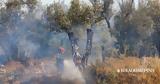 Χίος – Πυρκαγιά, Κρίσιμο, Ανύδρου,chios – pyrkagia, krisimo, anydrou