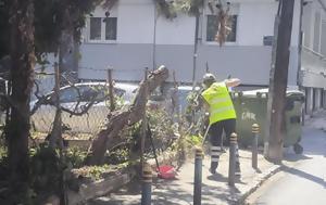Θεσσαλονίκη, Καθάρισαν, ΧΕΝ Καλαμαριάς - Δείτε, thessaloniki, katharisan, chen kalamarias - deite