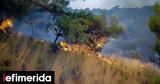 Πυροσβεστική, 24ωρο,pyrosvestiki, 24oro