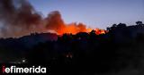 Arson Suspected, Chios Wildfire,Woman Arrested, Negligence