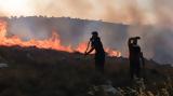 Μέσα, Παλαιά Φώκαια - Κινδυνεύει, Αρχές,mesa, palaia fokaia - kindynevei, arches