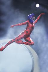 MIRACULOUS, Ιστορίες, Ladybug #x26 Cat Noir, Πάνθεον,MIRACULOUS, istories, Ladybug #x26 Cat Noir, pantheon
