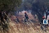 Ακραίος, Κυριακή -, Αττική,akraios, kyriaki -, attiki