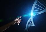 Ανθρώπινο DNA,anthropino DNA