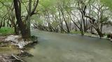 Ενώπιον, Λούρος,enopion, louros