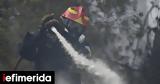 High Winds, Heat Put Greece,Extreme Wildfire Alert