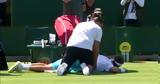 Τσιτσιπάς, Ζήτησε,tsitsipas, zitise