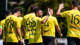 ΑΕΚ, Νίκολιτς,aek, nikolits