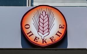 Νέοι, ΟΠΕΚΕΠΕ, neoi, opekepe