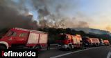 Greece Issues High Fire Risk Alert, Dozens,Wildfires Break Out