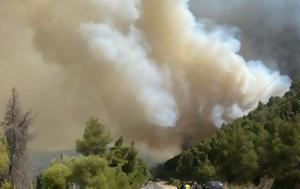 Μεγάλη, Σιθωνία Χαλκιδικής – Εντολή, 112, megali, sithonia chalkidikis – entoli, 112
