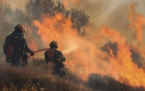 Φωτιά, Ιεράπετρα, Διάσπαρτες, fotia, ierapetra, diaspartes