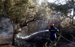 Φωτιά, Ανατολική Αττική, Έχουν, Δήμαρχος Σπάτων, fotia, anatoliki attiki, echoun, dimarchos spaton